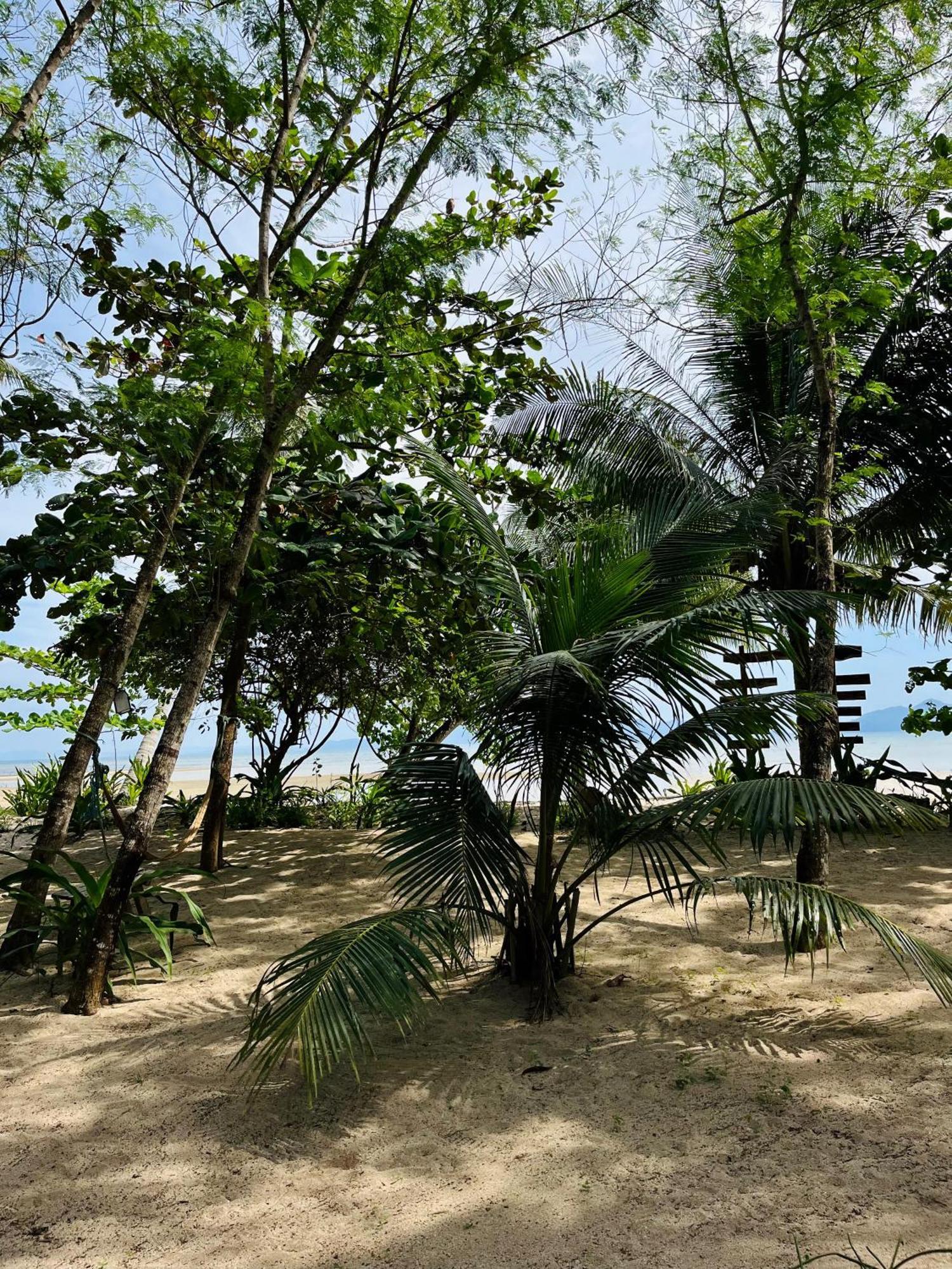 Efrena Agro Tourism Beach El Nido Esterno foto
