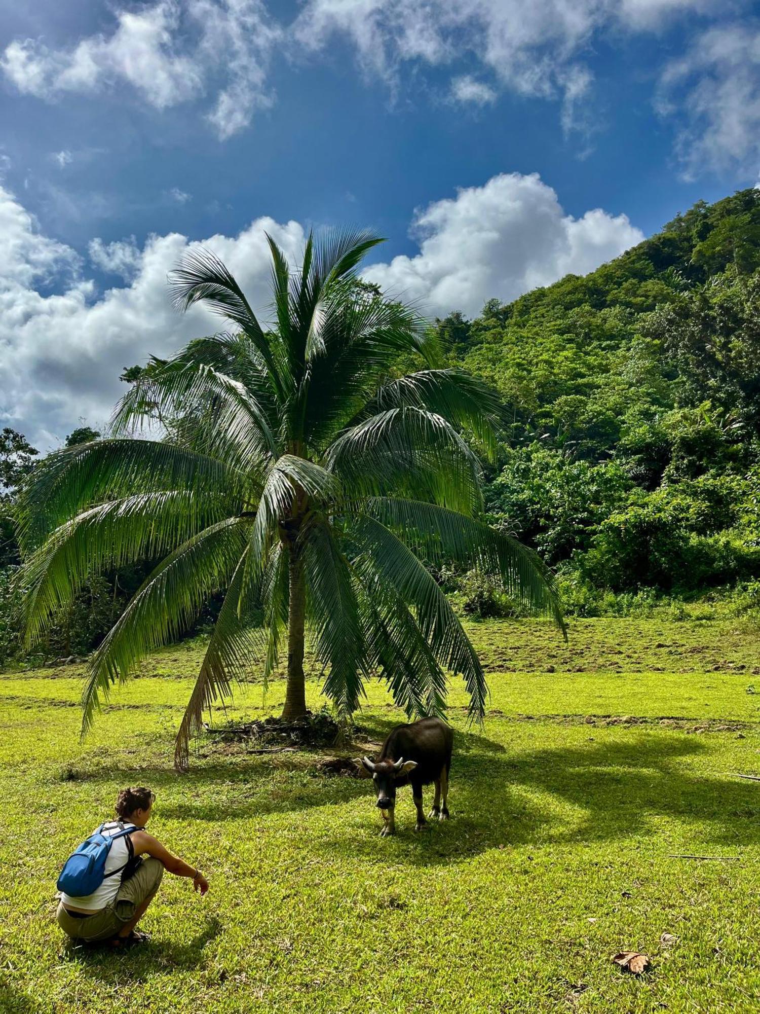 Efrena Agro Tourism Beach El Nido Esterno foto