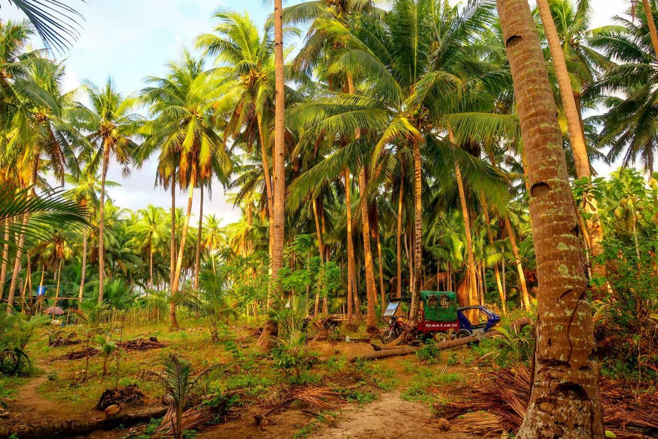 Efrena Agro Tourism Beach El Nido Esterno foto